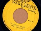 The Wailers(7