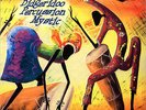 Didgeridoo Percussion Mystic / Clearaudio Records