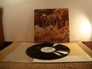 The Incredible String Band Promo Wee Fam Electra Minty