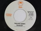 GASOLIN': Twilight Birds / Mono 45 (dj) rare Rock & Pop