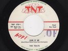 '59 Texas Rockabilly/Teen ROY HEAD/TRAITS Live It Up/Yes I Do TNT 175 M- HEAR