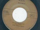 Northern - The Twilights - You're The One / That's Alright - Aqua