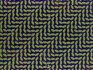 Merriweather Post Pavilion [VINYL] Animal Collective Vinyl