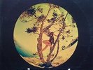 PUCCIO ROELENS LP Primo Canale 1971 VEDETTE PSYCH LATIN FUNK NEW SEALED RARE