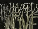 THE DECEMBERISTS THE HAZARDS OF LOVE LP VINYL NEW 33RPM