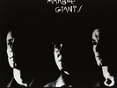 YOUNG MARBLE GIANTS COLOSSAL YOUTH 2007 LP VINYL 33RPM NEW EXPANDED ED