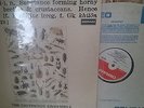 LP the chitinous ensemble orig SML 1093
