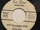 MACK RICE-BABY I'M COMING HOME /MY BABY - WLP-NORTHERN R&B 45 on LU PINE