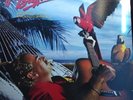 Jimmy Buffett Songs You Know By Heart: Jimmy Buffett's Greatest Hits [Vinyl]