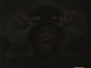 JAY-Z : THE BLACK ALBUM  (Double LP Vinyl) sealed