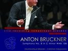 Symphony No. 8 In C Minor - THIELEMANN CHRISTIAN/SD [2x LP]
