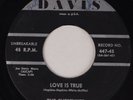 THE CHESTNUTS: Love is True ORIG 45 Doo Wop DAVIS 447-45 Hear