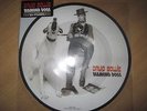David Bowie 40th Anniversary Diamond Dogs 7
