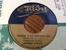 Bert bailey &the jets /born under a bad sign-standing in the shadows of love NM-
