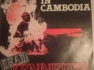 DEAD KENNEDYS Holiday in Cambodia mega RARE Irish press 200 only Burning Monk