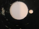RARE UNKNOWN TEEN ACETATE 45    (ORBISON SOUND)       HEAR