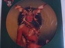 Cher Take Me Home/1979 Casablanca Records & FilmWorks Picture Disc LP Vinyl