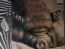 KIN PING MEH No 2 / LP ZEBRA