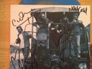 The Chris Robinson Brotherhood 