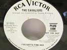 THE CAVALIERS  I'VE GOTTA FIND HER  I REALLY LOVE YOU 45 PROMO RCA NORTHERN SOUL