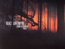 BLACK SUN EMPIRE - From The Shadows Remix EP - Vinyl (double 12