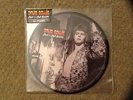 David Bowie - Rock 'n' Roll Suicide. Record store day 2014. Picture disc. Sealed