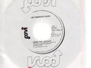 Jim Pembroke Band Hard Top Lincoln / Golden Days Wigwam 7