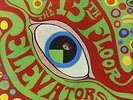 THE 13TH FLOOR ELEVATORS-PSYCHEDELIC SOUNDS OF (MONO AND STEREO)-VINYL LP ( NEU