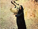 FLEETWOOD MAC THE PIOUS BIRD OF GOOD OMEN LP VINYL 33RPM BRAND NEW
