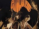 Emotions - PRETTY THINGS THE [LP]