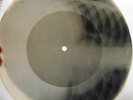 RARE ORIGINAL USSR X-RAY RECORD from 50's:PETR LESHENKO