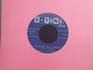Ruby Johnson Callin All Boys Rare R&B Dancer 45rpm Record On V-tone