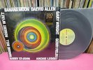 180G HEAVY VINYL AUDIOPHILE DAEVID ALLEN BANANA MOON GONG ROBERT WYATT GET 557