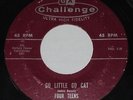 THE FOUR TEENS Go Little Go Cat/ Spark Plug 45 RPM Challenge RARE ROCKABILLY mp3