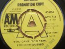 The Ronettes-You came,you saw,you conquered (Phil Spector) Demo.7