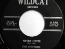 THE CHIFFONS 45 Never Never / No More Tomorrows NEAR MINT Northern Soul w5300