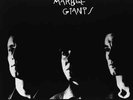Young Marble Giants-Colossal Youth And Collected Works VINYL NEW