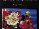 Whiskeytown 