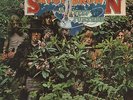Savoy Brown A Step Further DECCA Decca Vinyl LP