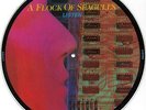 A Flock Of Seagulls - Listen Picture Disc