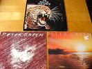 Peter Green- The End of Game, Little Dreamer, Whatcha Gonna Do