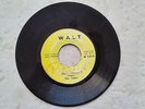 THE LIONS - NATTY CONGO I // VERSION / WALT