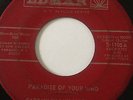 VERY RARE TRIPPY PSYCH GARAGE 45/CAPTAIN BILLY'S WHIZBANG