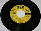 Rare 60's Garage/The Leather Boy/