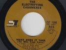 70s Soul 45 - Electrifying Cashmeres - What Does It Take - SS7 - VG+ mp3