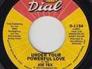 70s Soul 45 - Joe Tex - Under Your Powerful Love - Dial - mp3