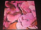Still Life rare '71 Still Life  mint- Akarma  scarce RE TOP PROG Vertigo Swirl