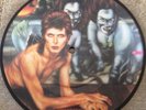 DAVID BOWIE Rebel Rebel / Queen Bitch 7 Inch Picture Disc Vinyl Glam Rock