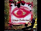 NEW MODEL ARMY - 1998 - Konzertplakat - Strange Brotherhood - Tourposter