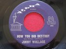 JIMMY WALLACE   HOW DID YOU DESTROY / FOREVER   ALPHA 002  RARE NORTHERN SOUL 45